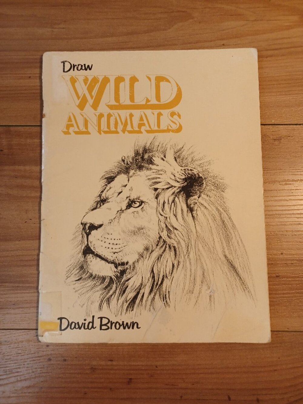 Draw Wild Animals Book